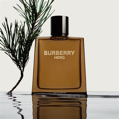 parfum burberry pret|burberry perfume official site.